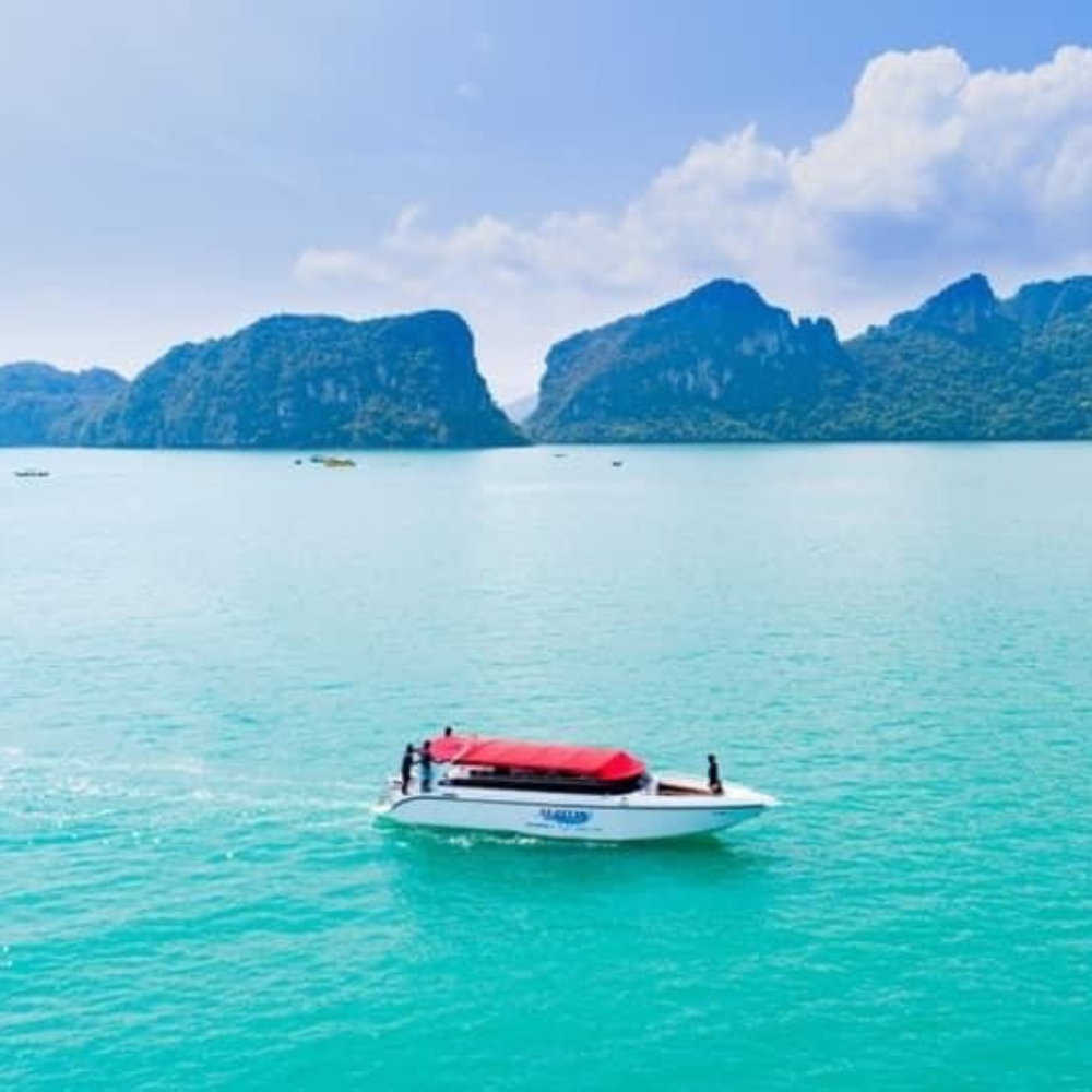 Dolphin Watching & Koh Tan / Koh Madsum (Pig Island)