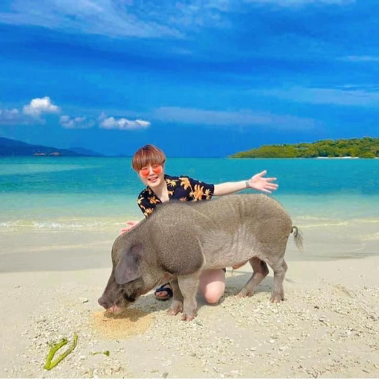 Koh Tan-Pig Island with Speed Boat