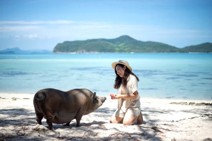 Koh Tan-Pig Island with Speed Boat