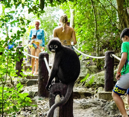 Angthong national marine park with Big Boat - Kayaking, Snorkeling & Sightseeing