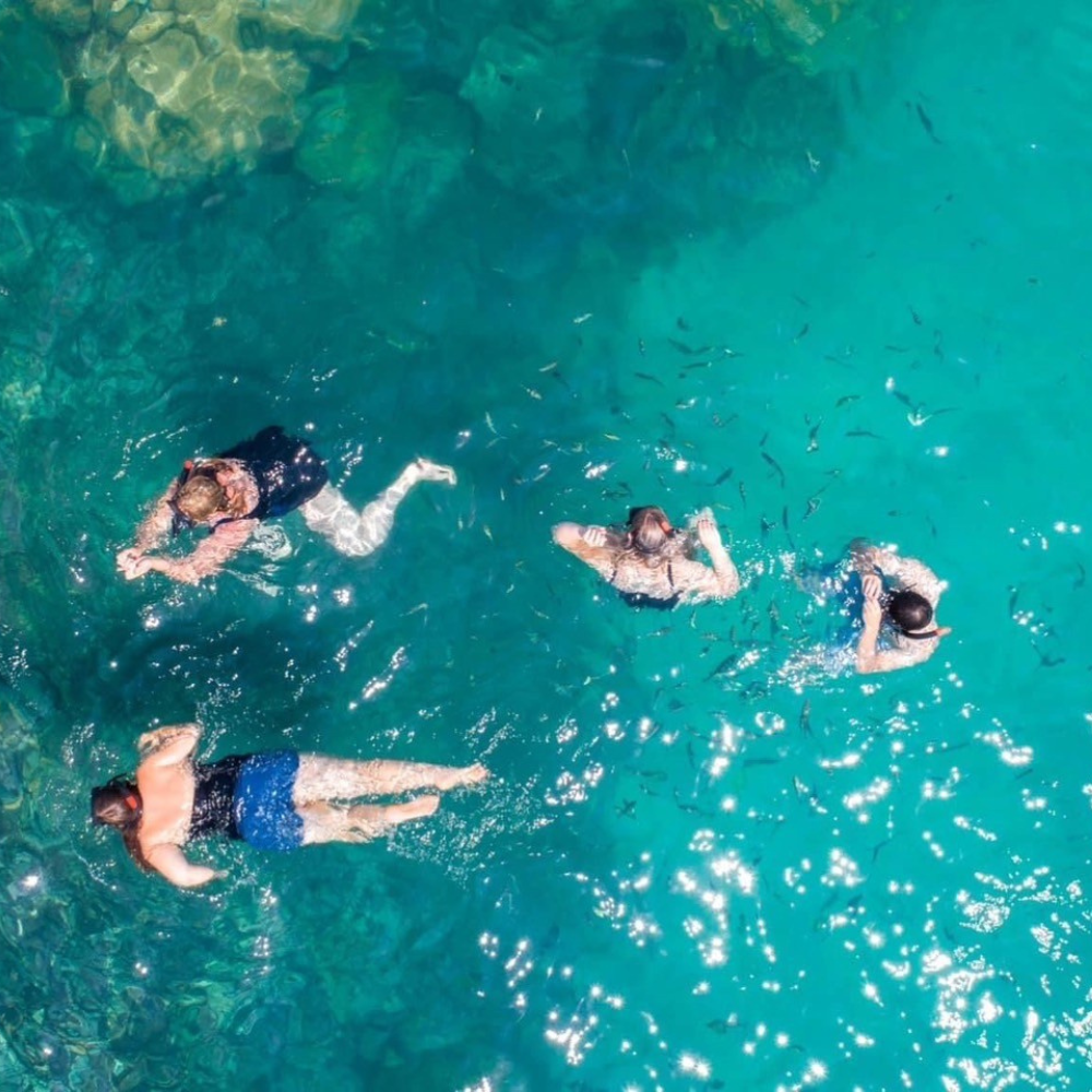 Koh Tan-Pig Island with Speed Boat