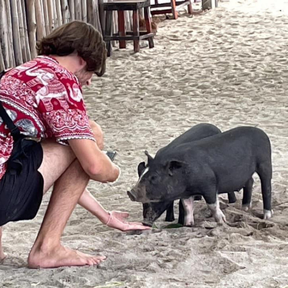 Koh Tan-Pig Island with Speed Boat