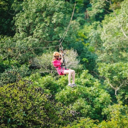 Zipline Adventure